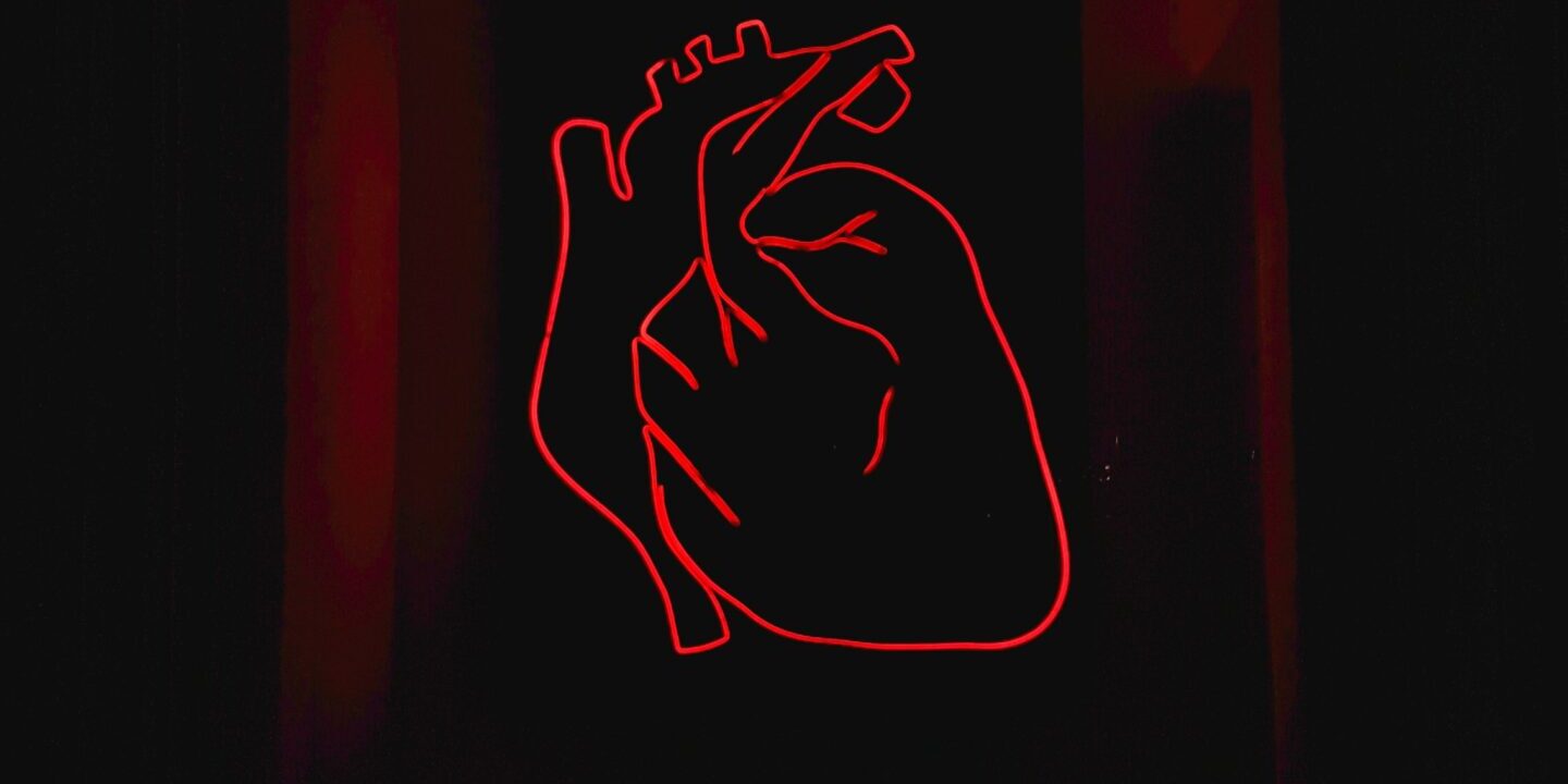 alexandru-acea-RQgKM1h2agA-unsplash