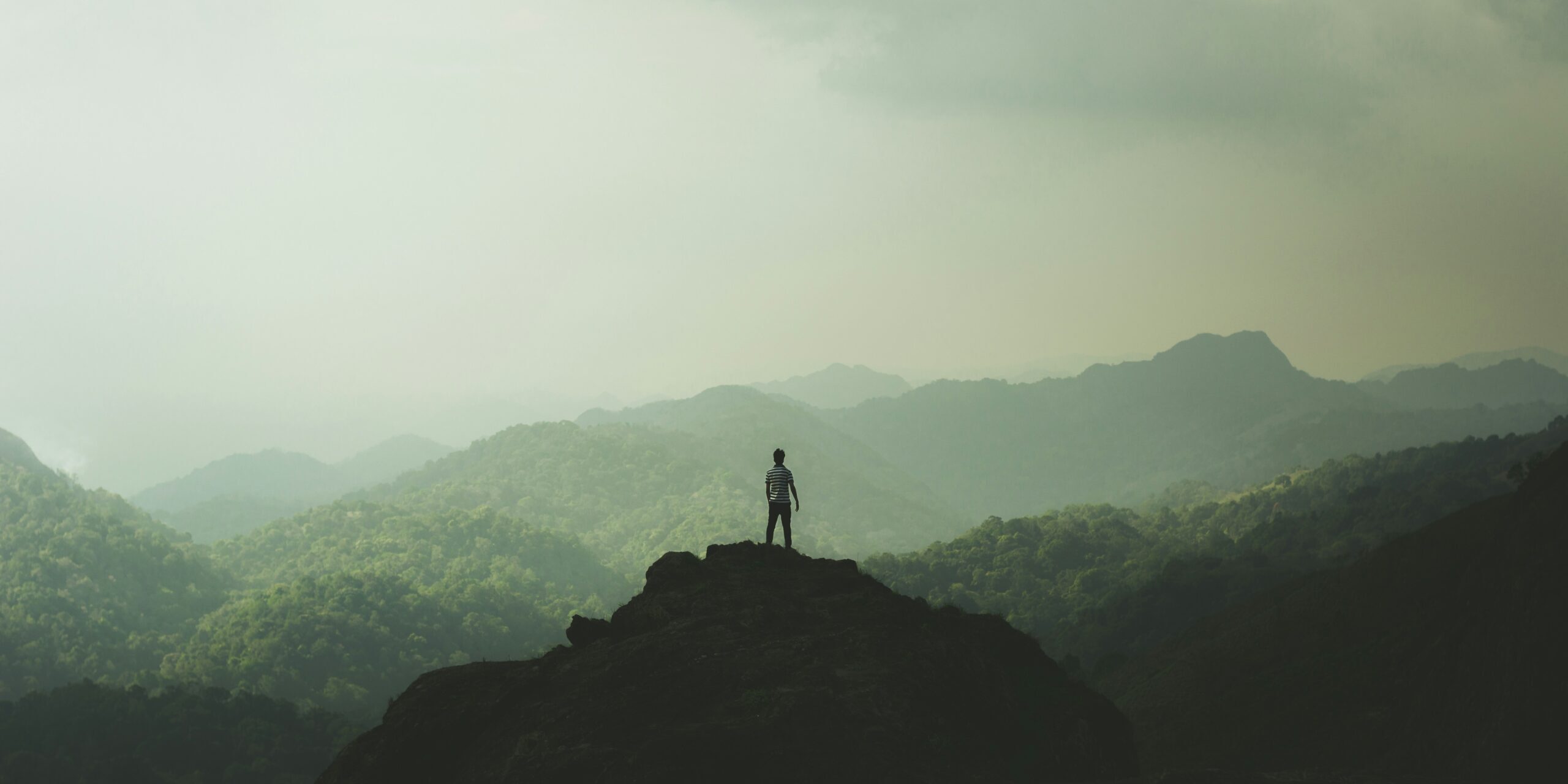 alfred-aloushy-Ow-joAY8NyY-unsplash