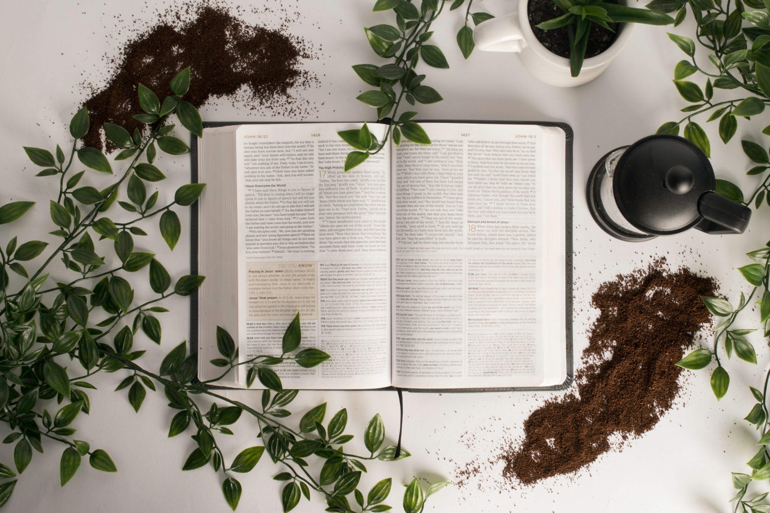 shelby-miller-SkOiBDYgXdI-unsplash-scaled