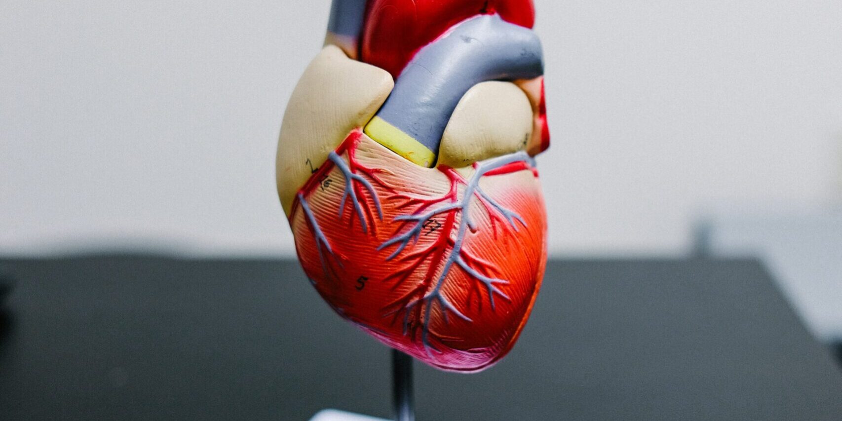 kenny-eliason-MEbT27ZrtdE-unsplash