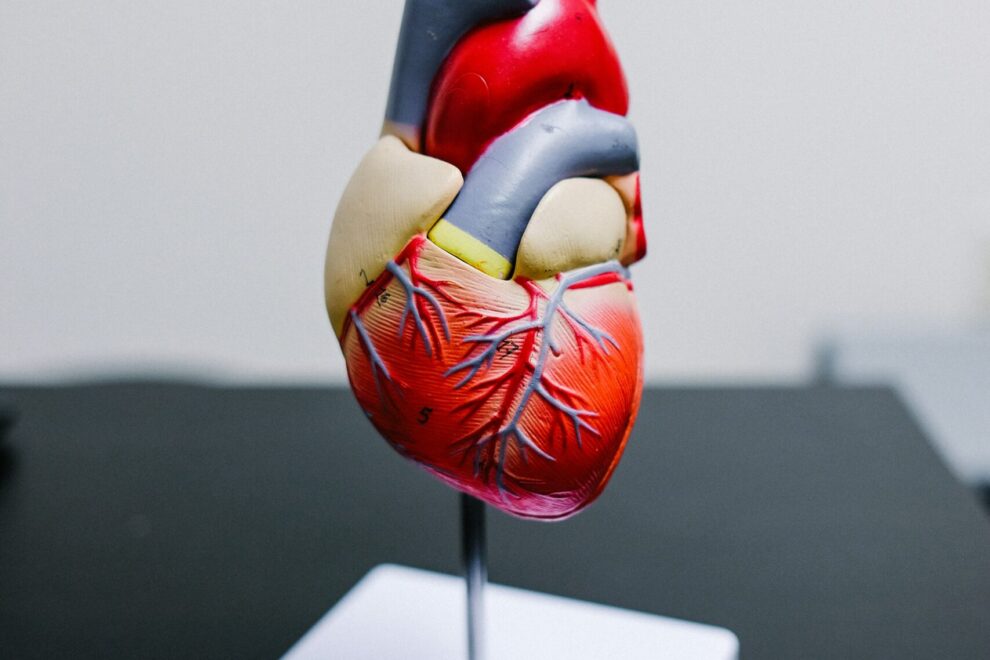 kenny-eliason-MEbT27ZrtdE-unsplash