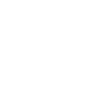 Icon2